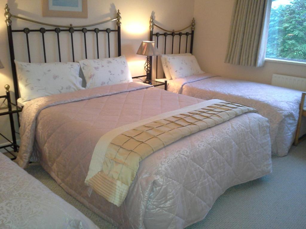 Fern Rock Bed And Breakfast Dromin Oda fotoğraf