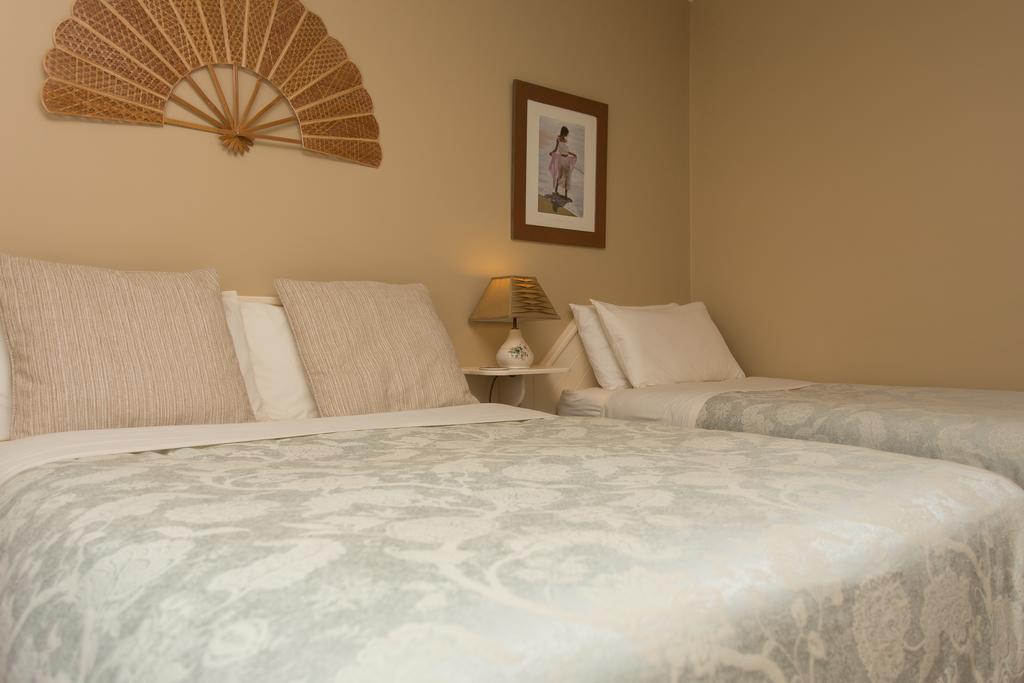 Fern Rock Bed And Breakfast Dromin Dış mekan fotoğraf