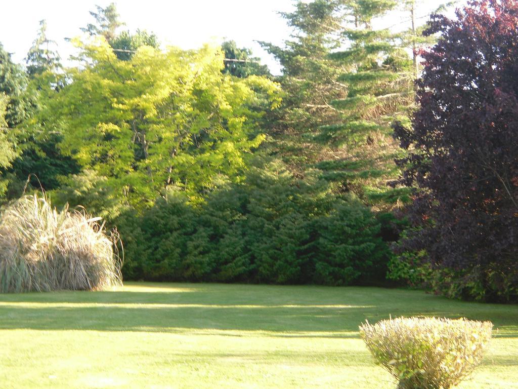 Fern Rock Bed And Breakfast Dromin Dış mekan fotoğraf